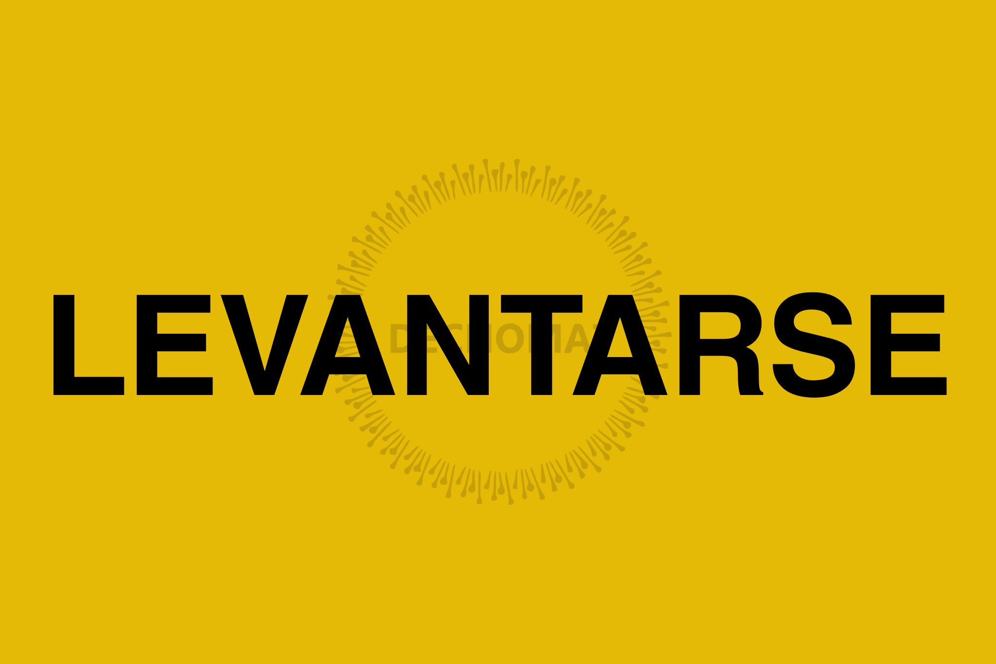 LEVANTARSE - BUSINESS IDEATION PROGRAMME